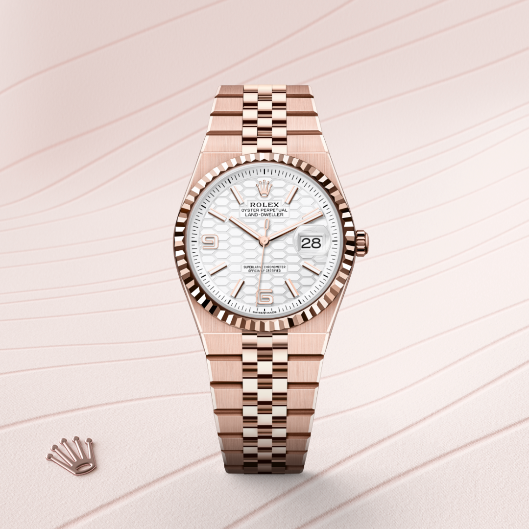 rolex land-dweller in 18 ct everose gold, m127235-0001 - watch with background color - ben bridge