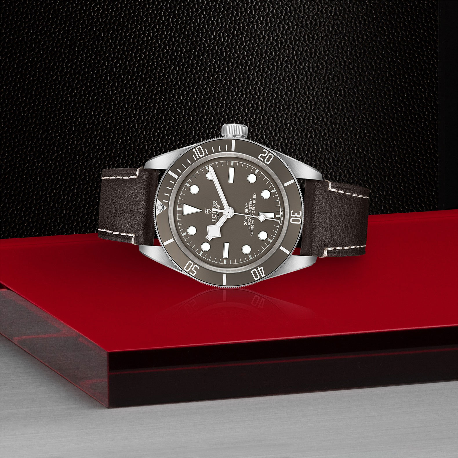 TUDOR Black Bay 58 925 Taupe Dial Watch, 39mm