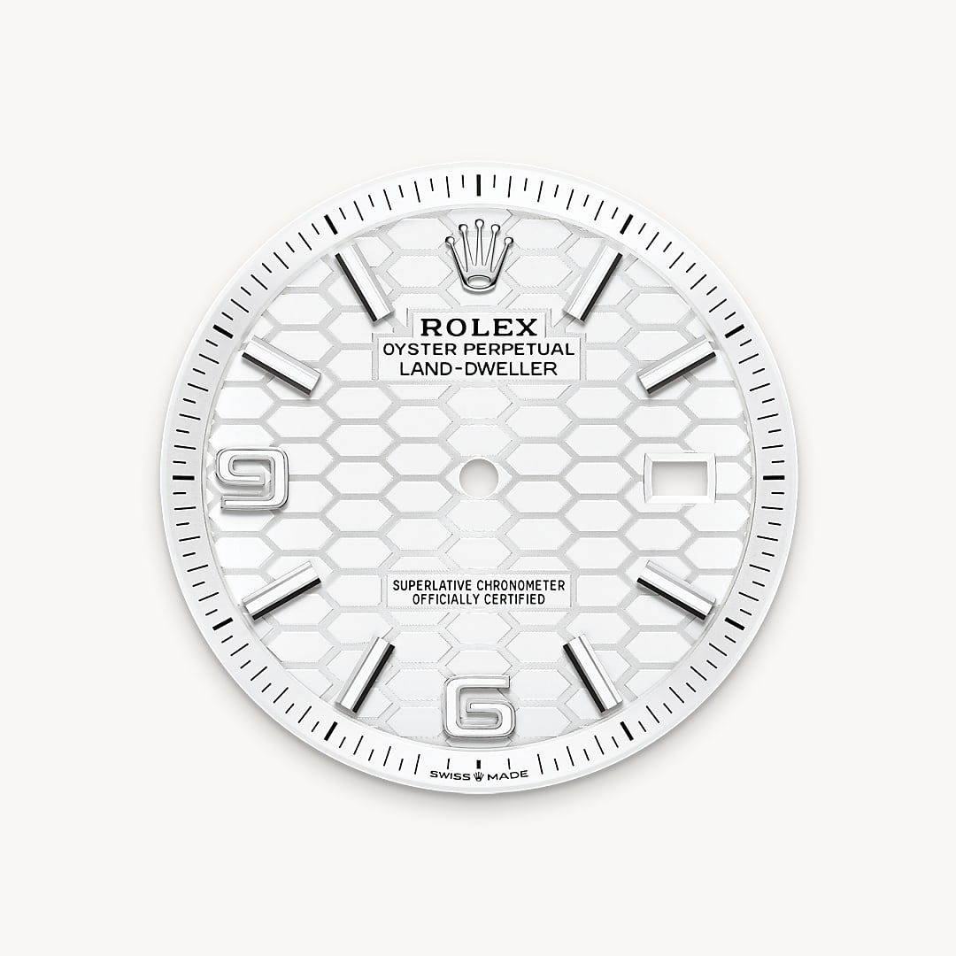 rolex land-dweller in white rolesor - combination of oystersteel and white gold, m127334-0001 - intense white dial - ben bridge