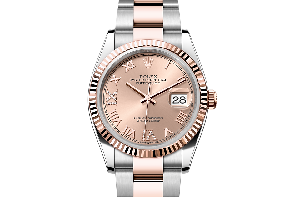 Rolex Datejust 36 Datejust Oyster, 36 mm, Oystersteel and Everose gold - M126231-0028 at Ben Bridge