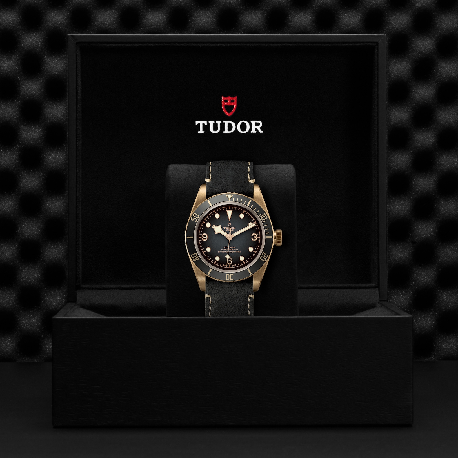 TUDOR Black Bay Bronze Gray Dial Watch, 43mm