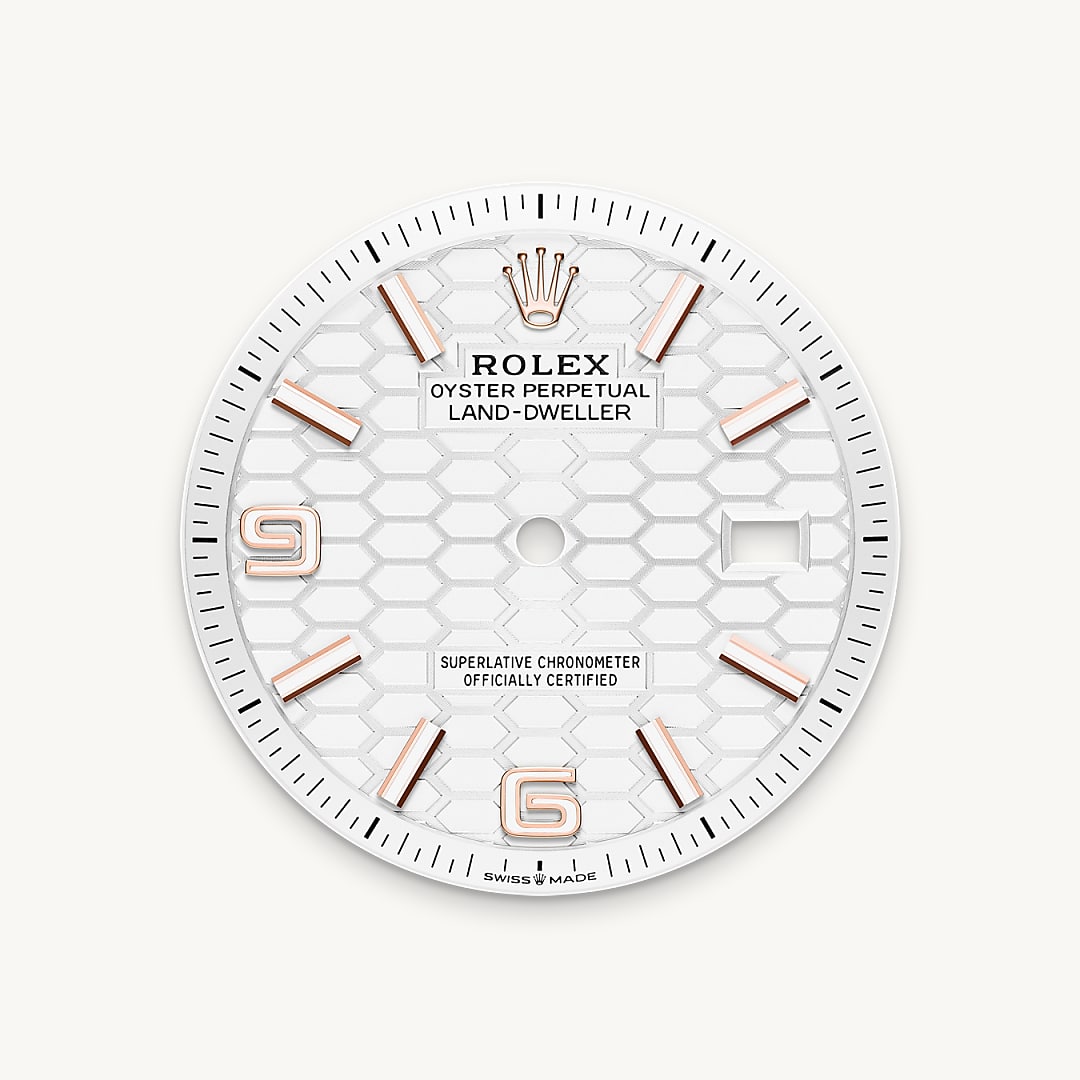 rolex land-dweller in 18 ct everose gold, m127235-0001 - intense white dial - ben bridge