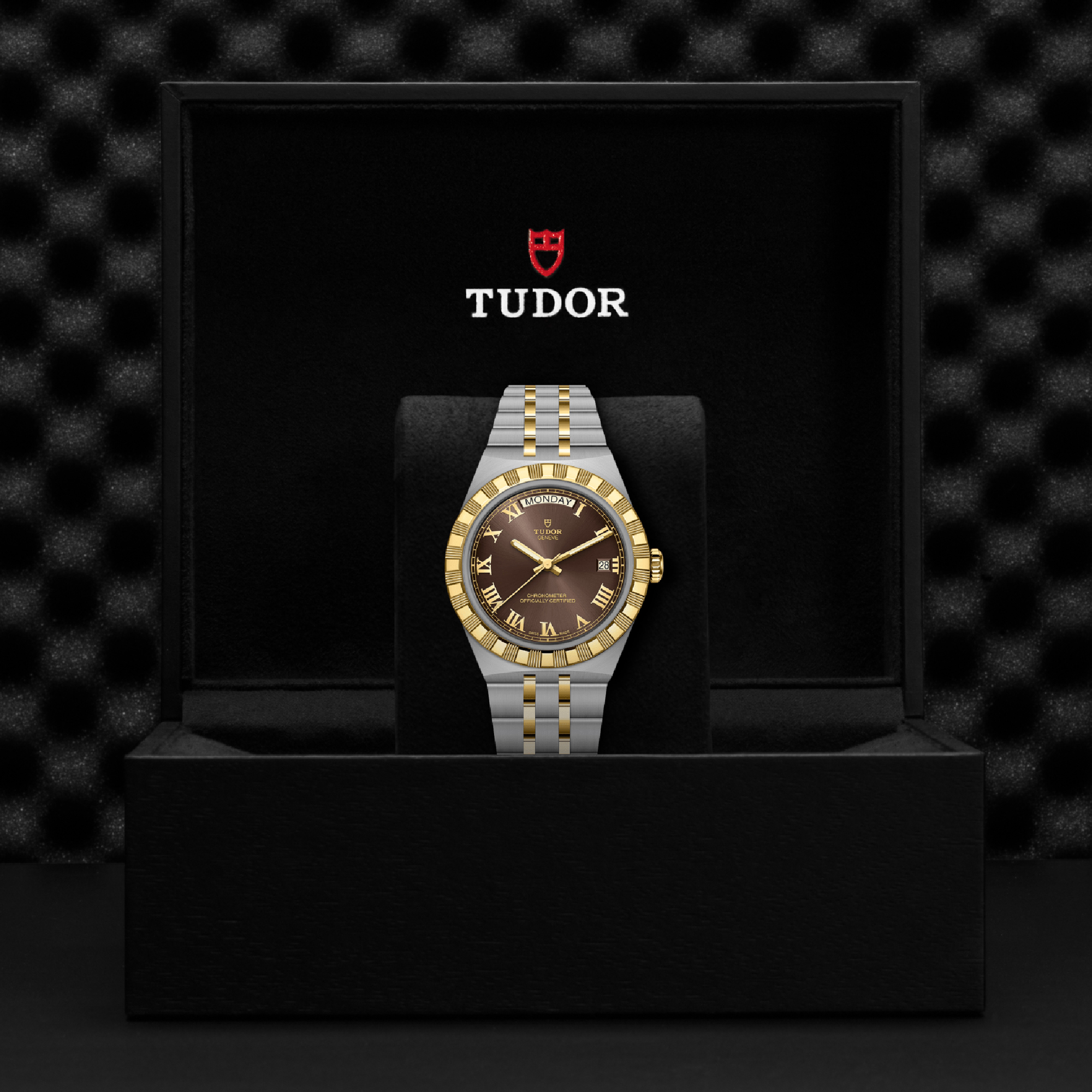 TUDOR Royal Brown Dial Watch, 40mm