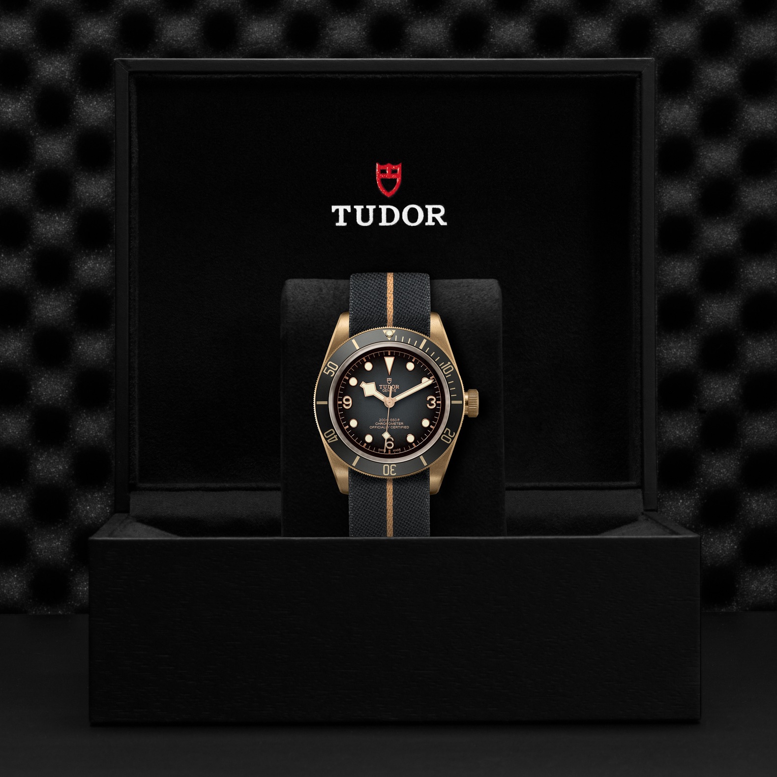 TUDOR Black Bay Bronze Gray Dial Watch, 43mm