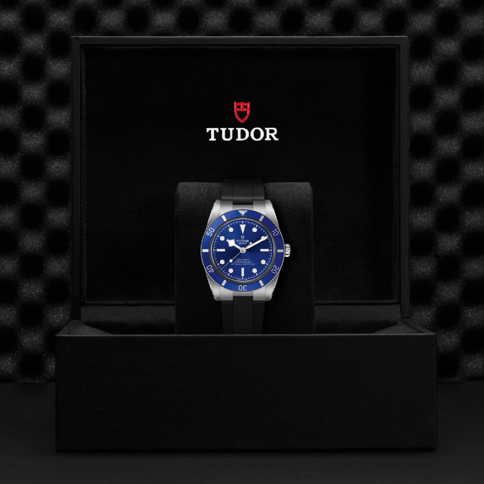 TUDOR Black Bay Blue Dial Watch, 37mm