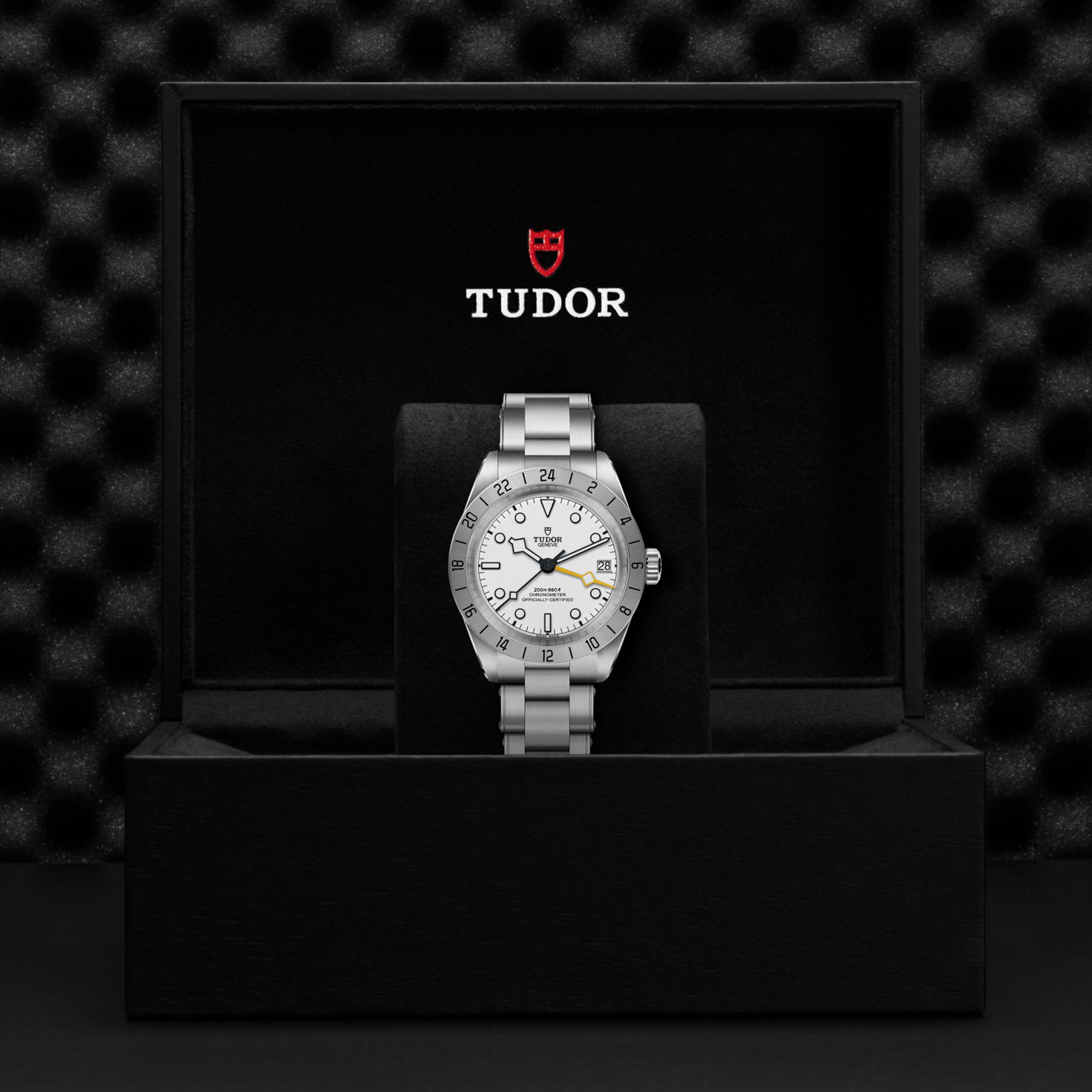TUDOR Black Bay Pro Opaline Dial Watch, 39mm