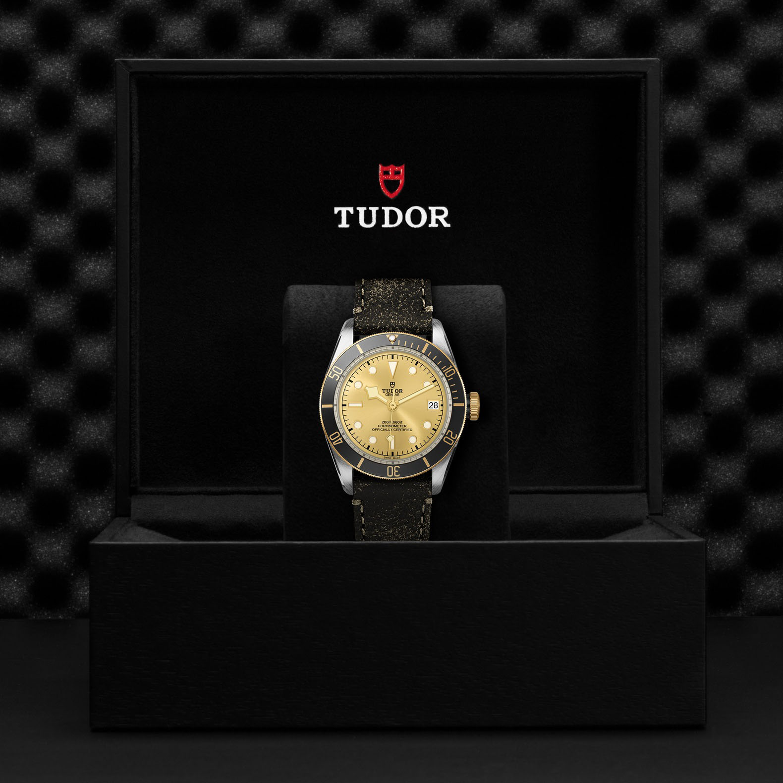 TUDOR Black Bay S&G 41 Gold Champagne Dial Leather Strap Watch, 41mm