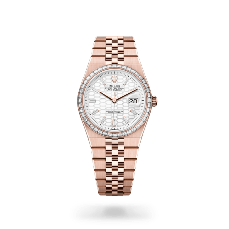 rolex land-dweller in 18 ct everose gold, m127285tbr-0002 - ben bridge