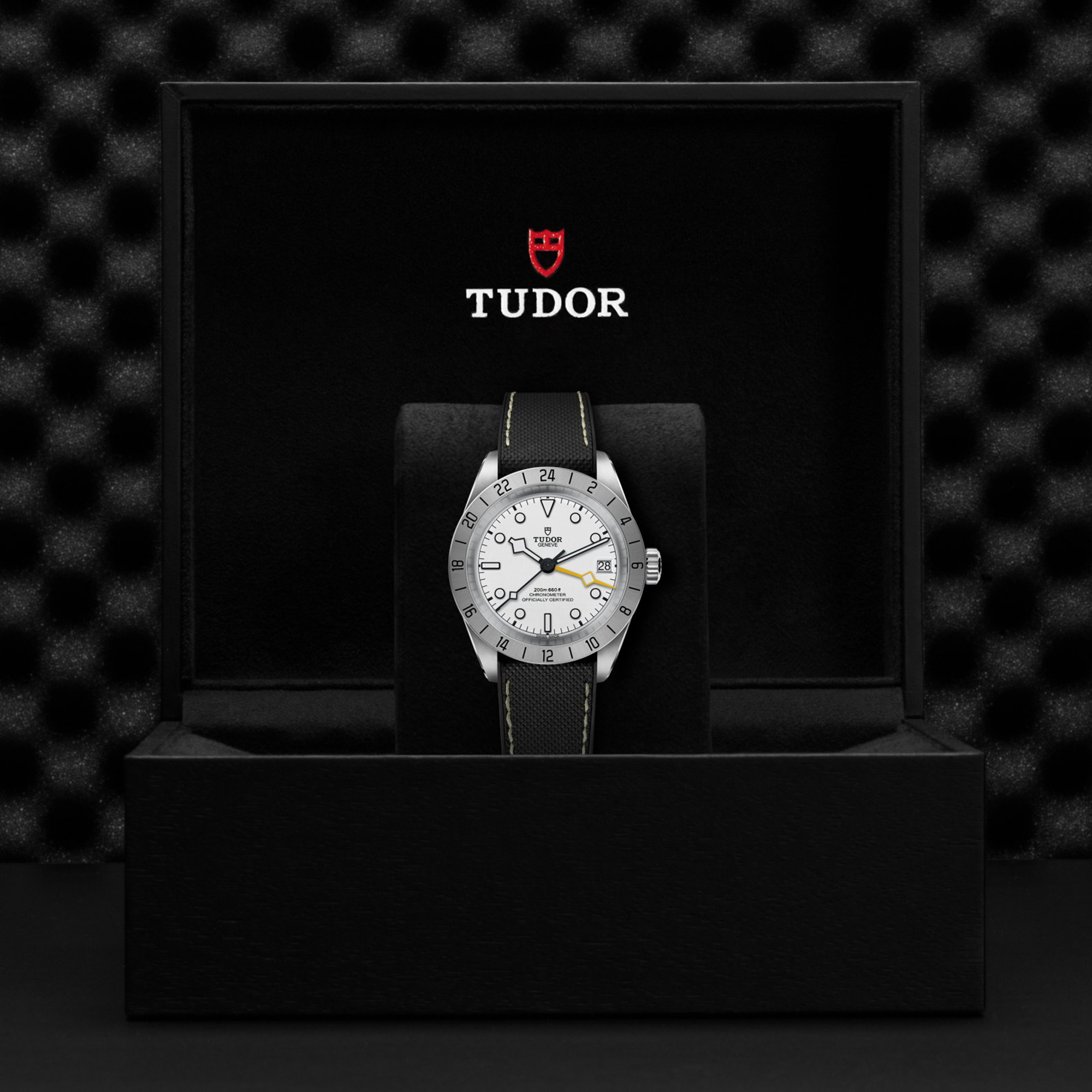 TUDOR Black Bay Pro Opaline Dial Watch, 39mm
