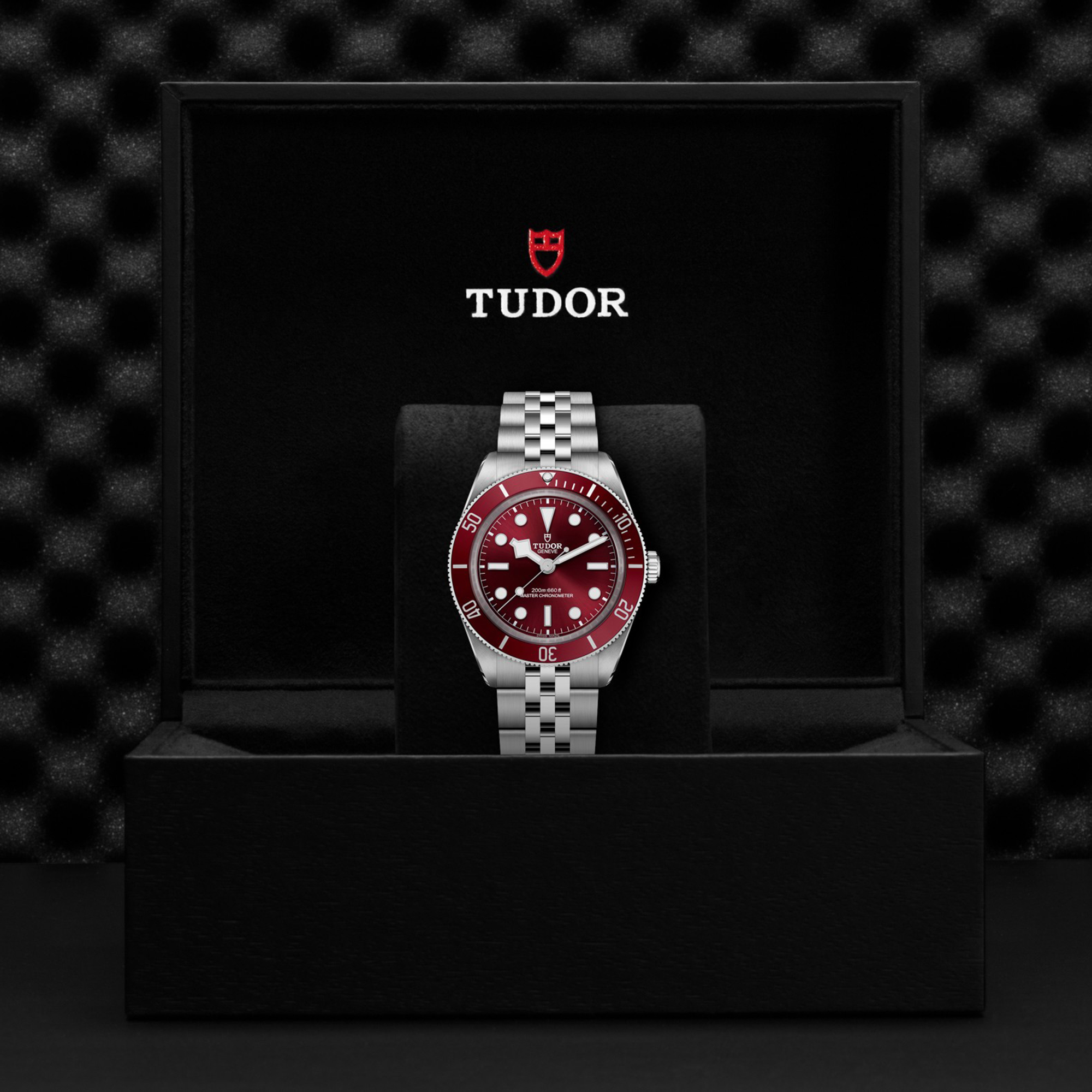 TUDOR Black Bay 58 Burgundy Dial Watch, 39mm
