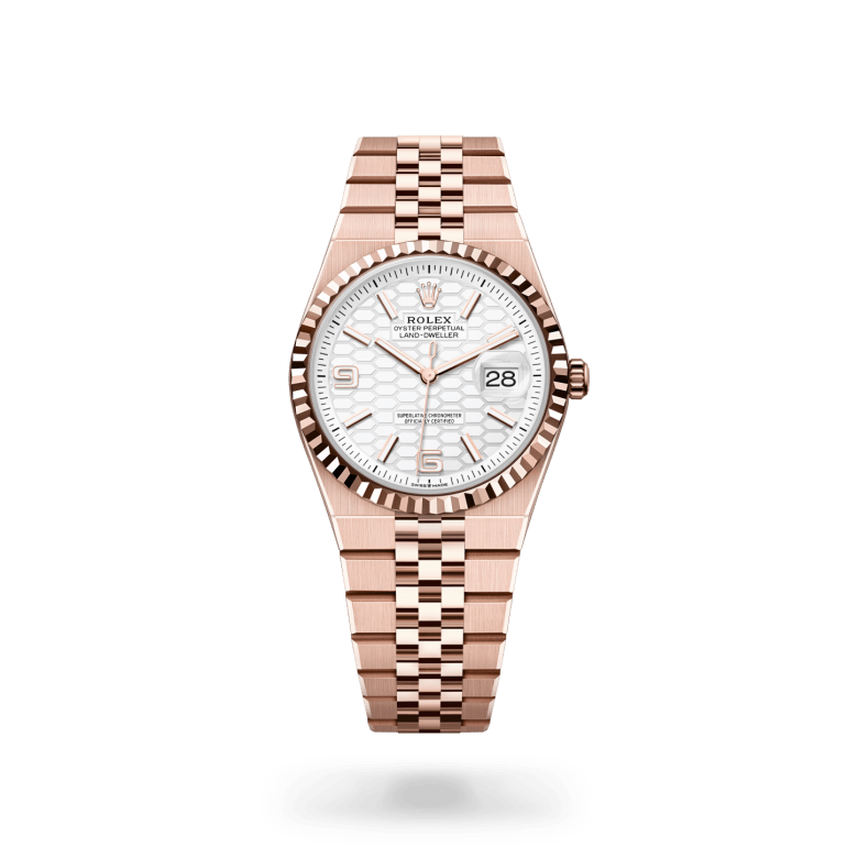 rolex land-dweller in 18 ct everose gold, m127235-0001 - ben bridge