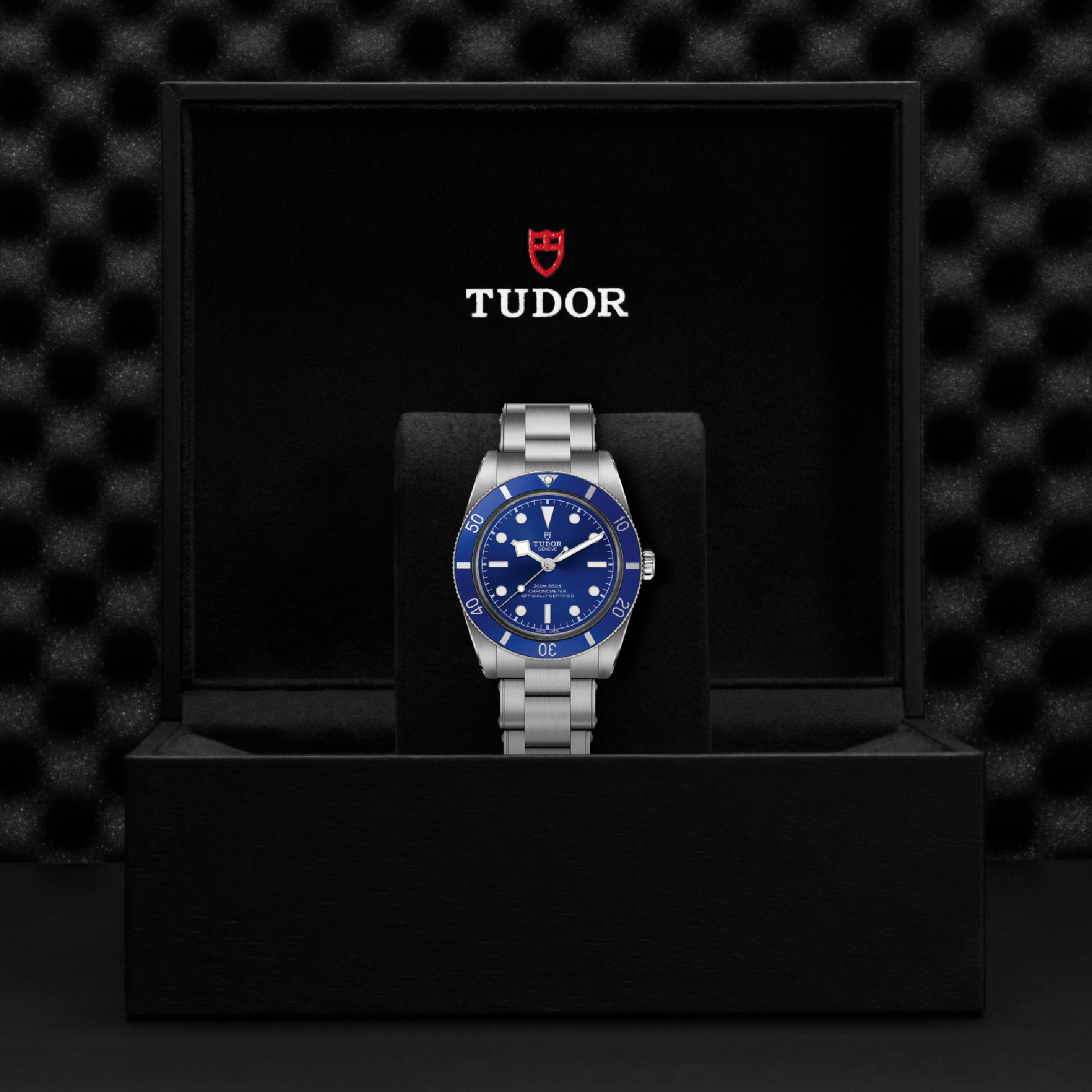 TUDOR Black Bay Blue Dial Watch, 37mm