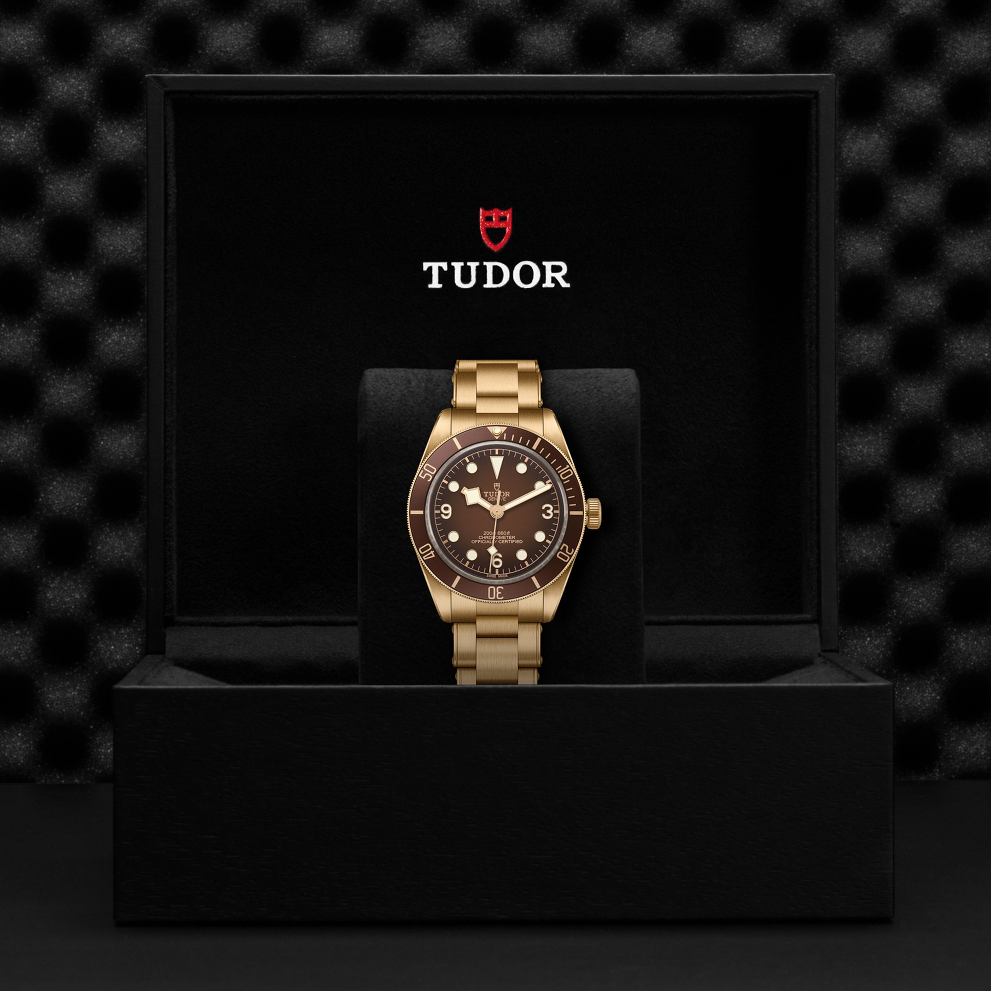 TUDOR Black Bay 58 Bronze Bronze Dial Watch, 39mm