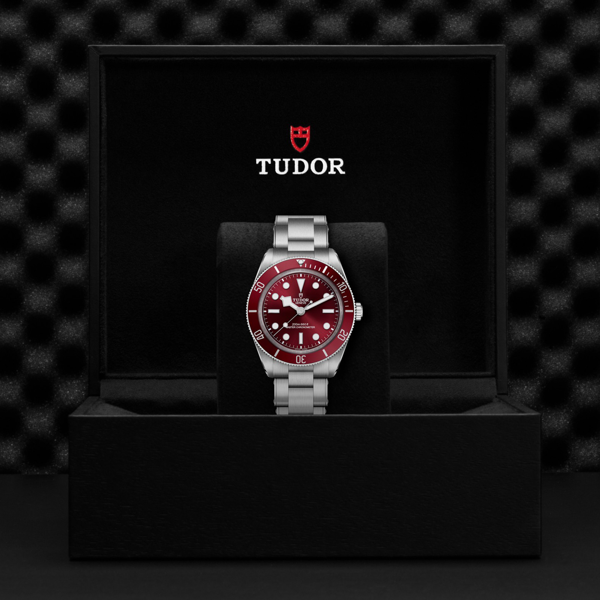 TUDOR Black Bay 58 Burgundy Dial Watch, 39mm