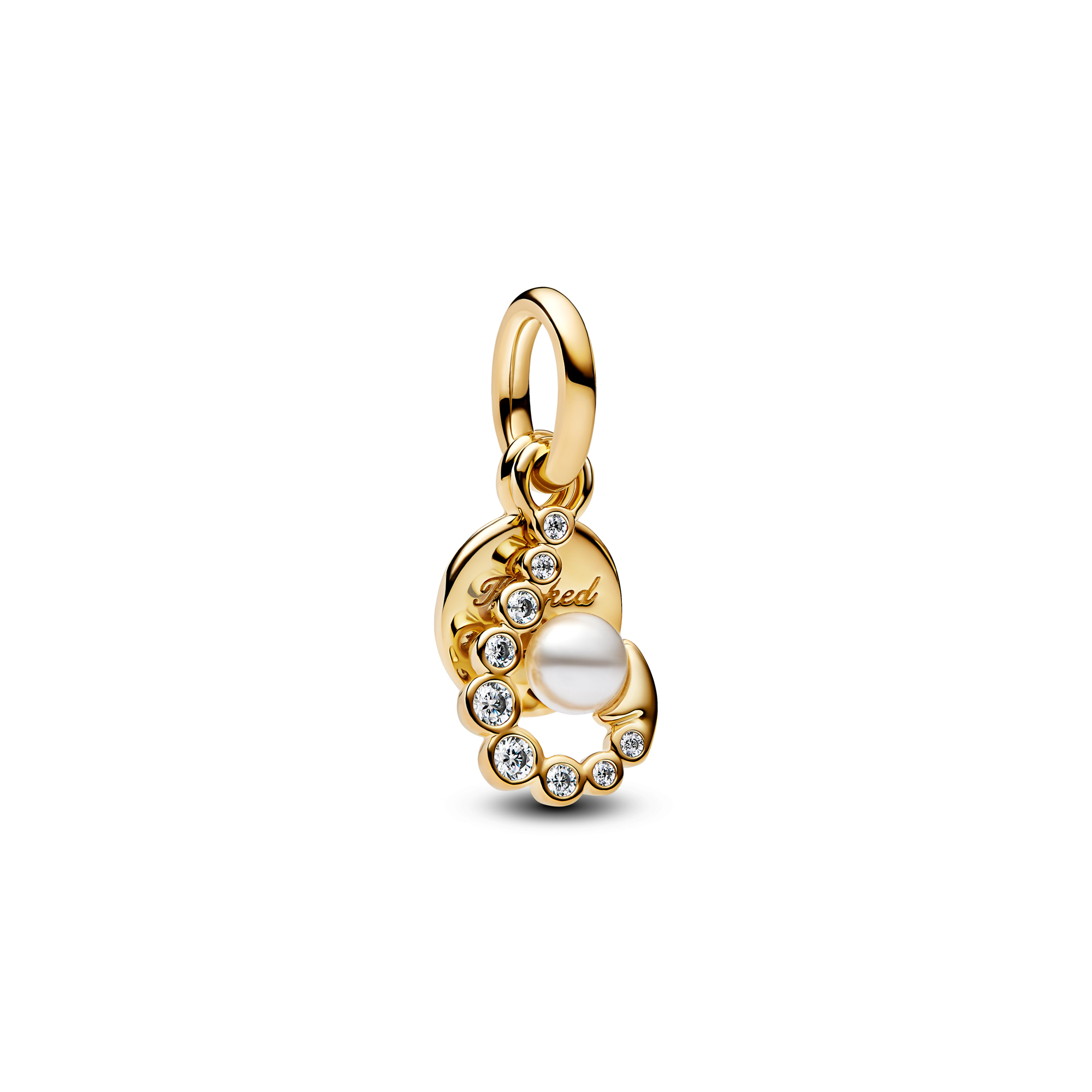 Pandora Hook Dangle Charm
