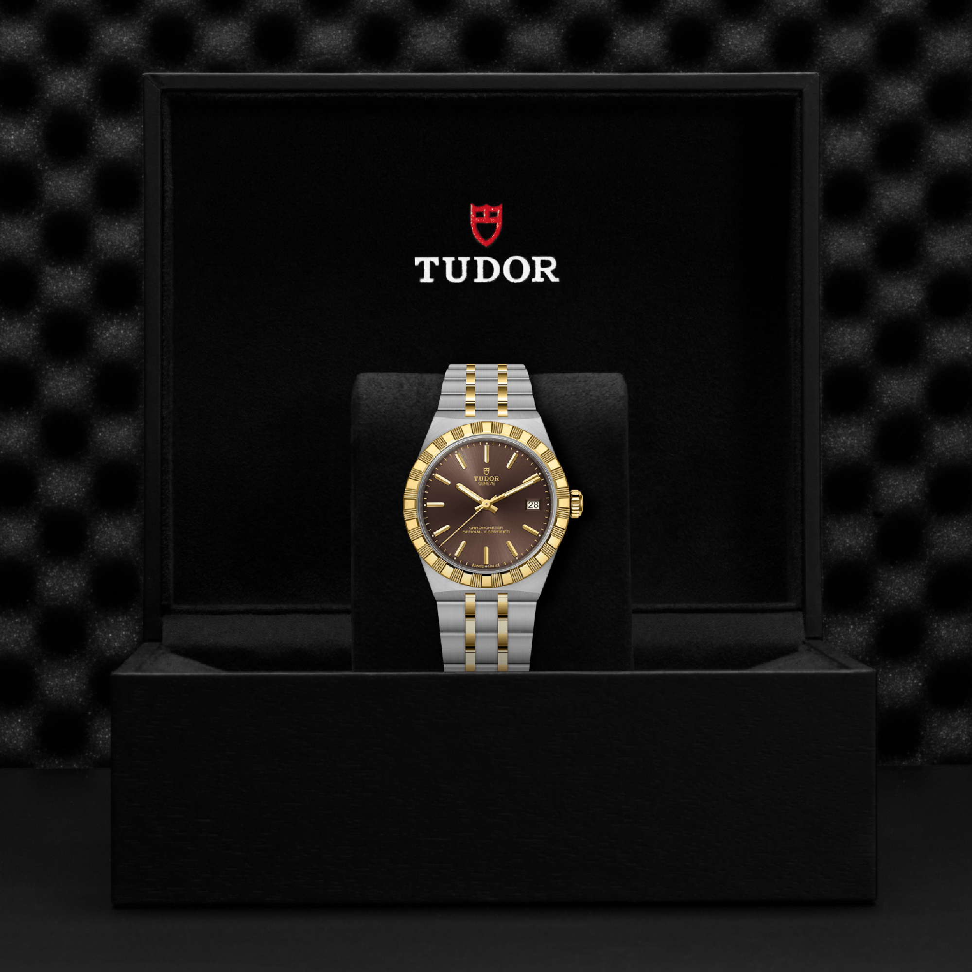 TUDOR Royal Brown Dial Watch, 36mm
