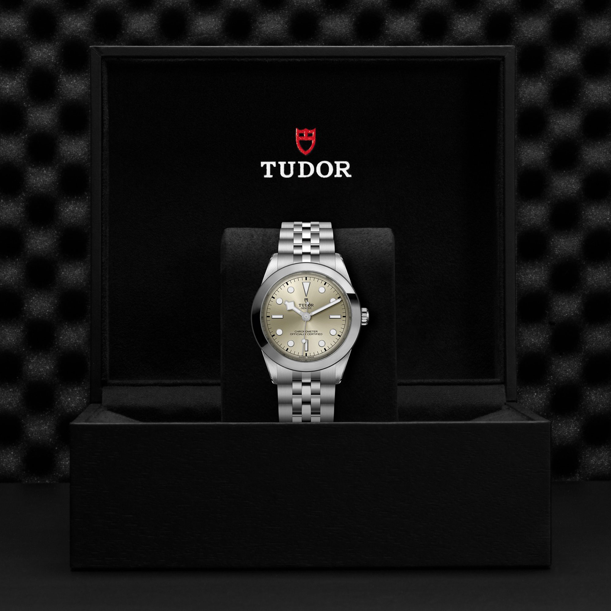 TUDOR Black Bay One 39 Champagne Dial Watch, 39mm