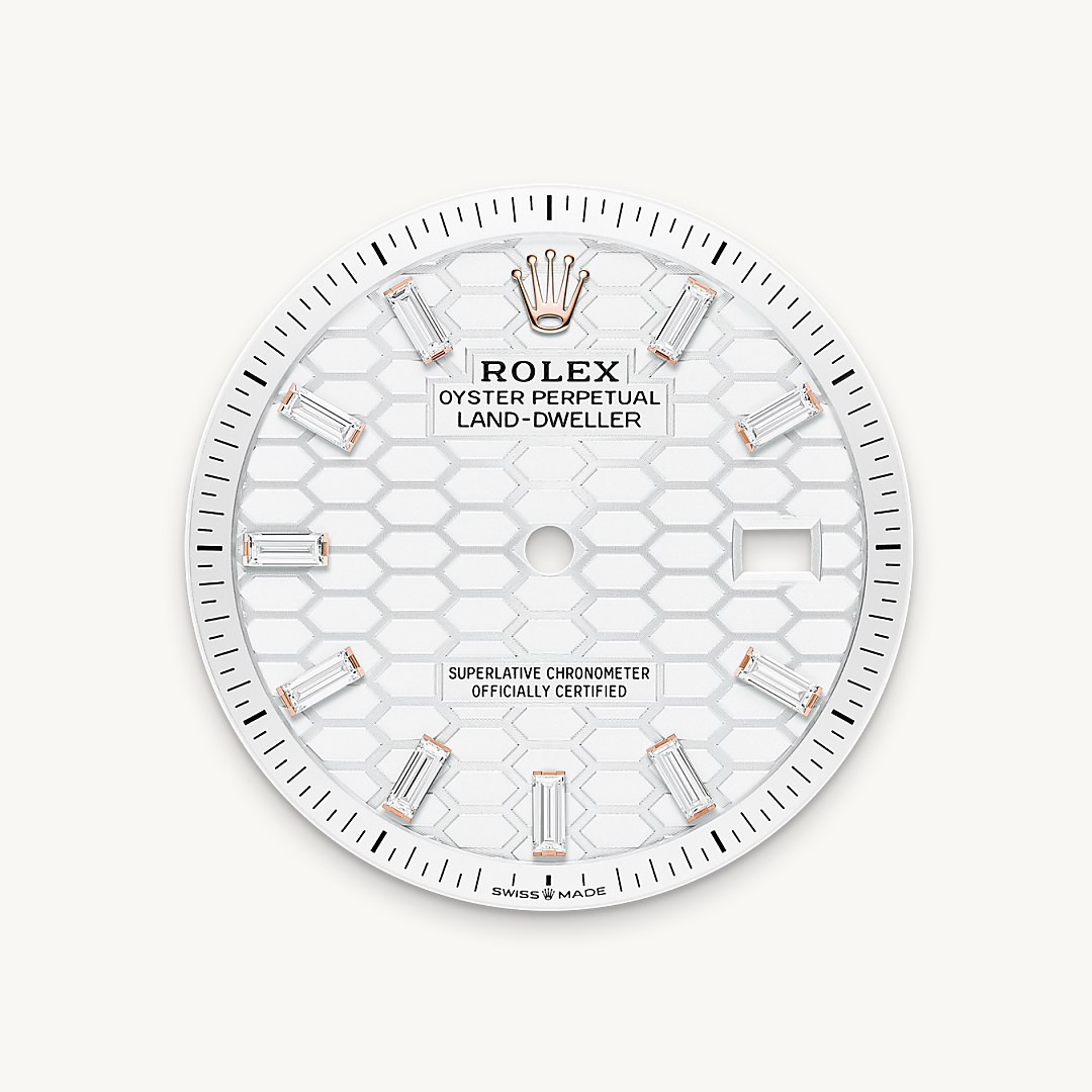 rolex land-dweller in 18 ct everose gold, m127285tbr-0002 - intense white dial - ben bridge